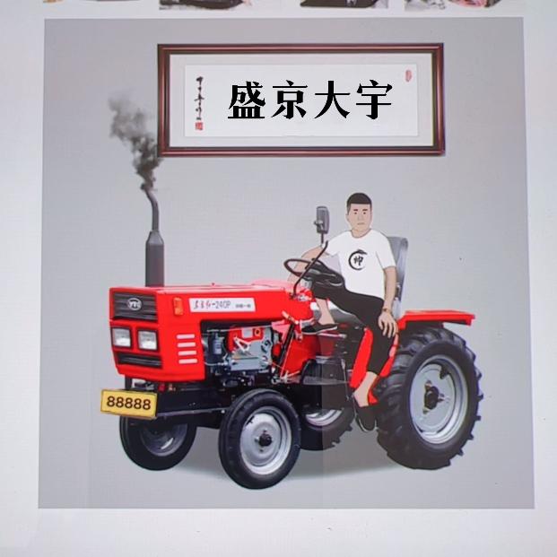 盛京宇少