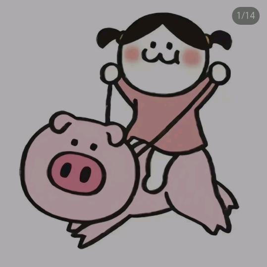 这里看看那里看看