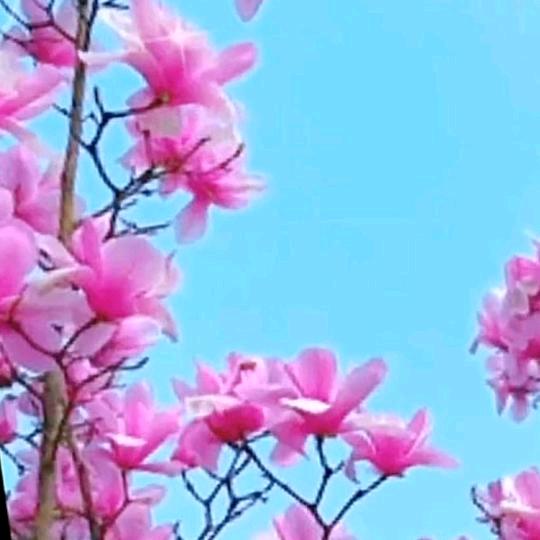 最美的相遇