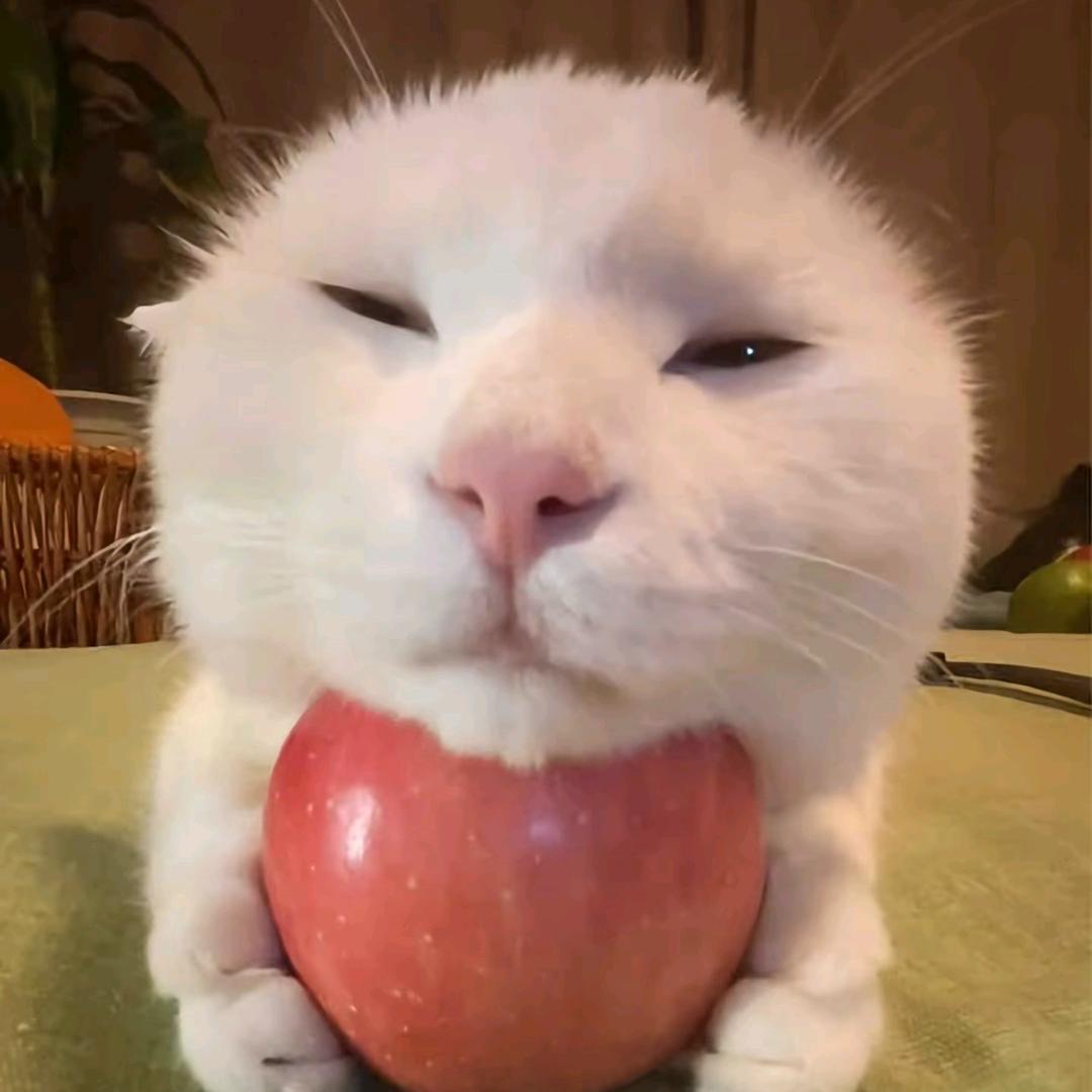 ￴ ￴ ￴￴ ￴ ￴ ￴ ￴ ￴ ￴