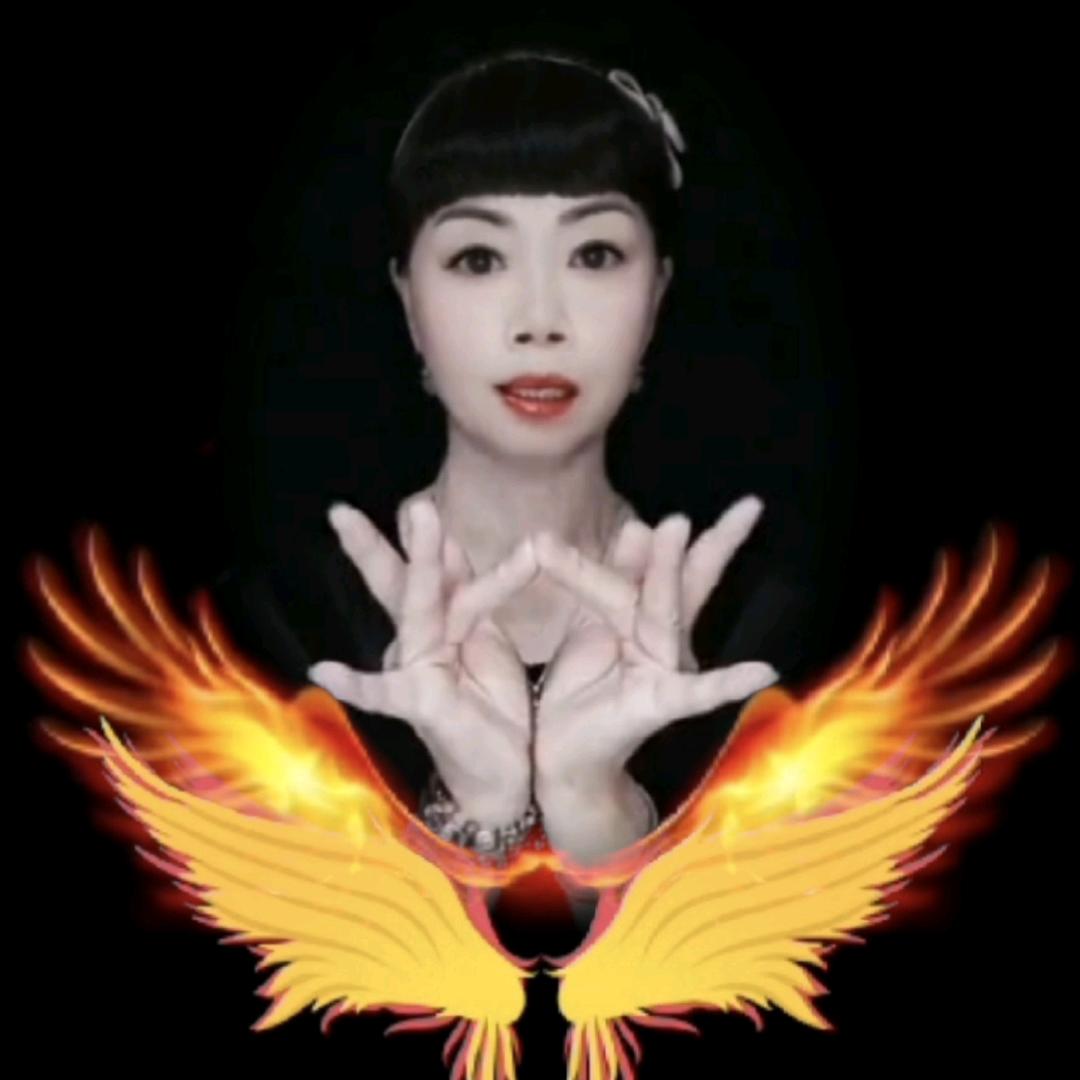 孤芳自赏Y