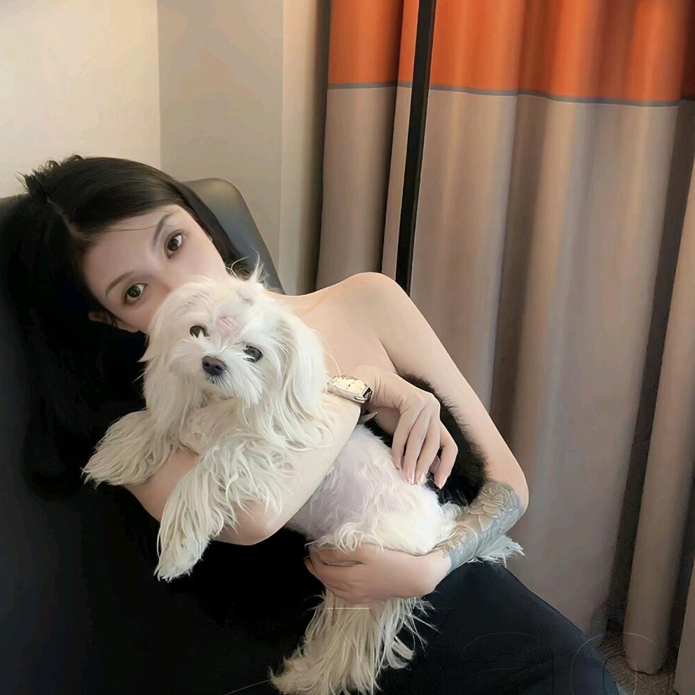 发呆呆呆呆☘️