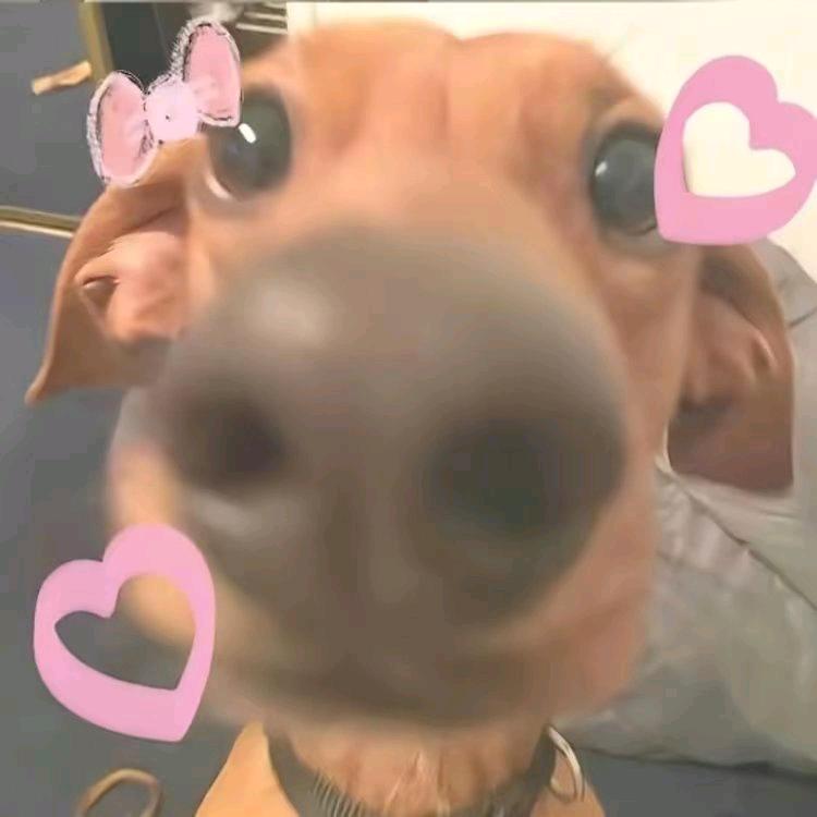必杀鷄