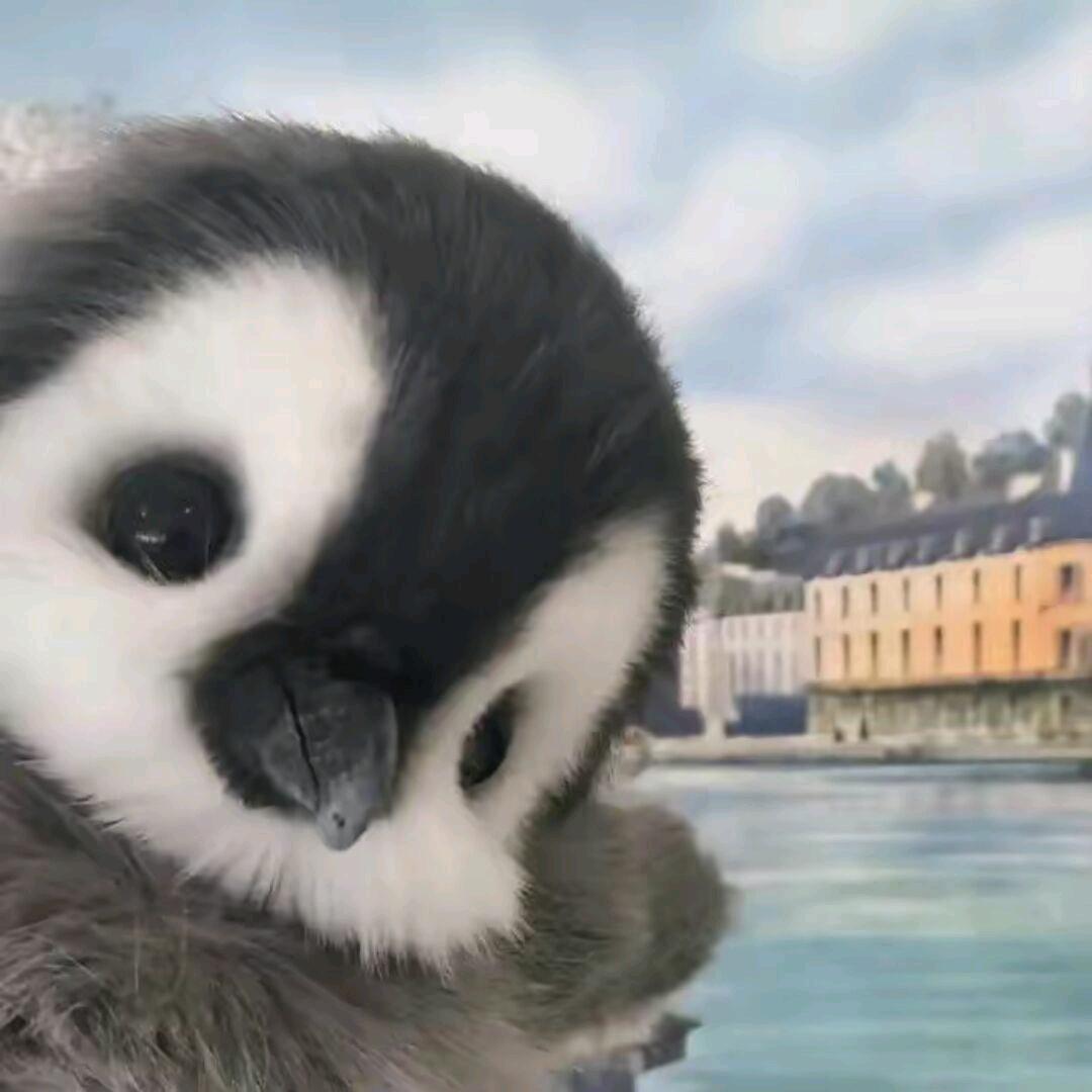 晚安