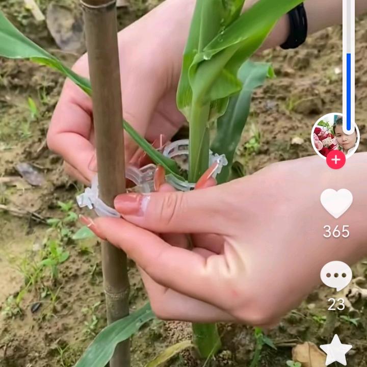 从这期不联系你