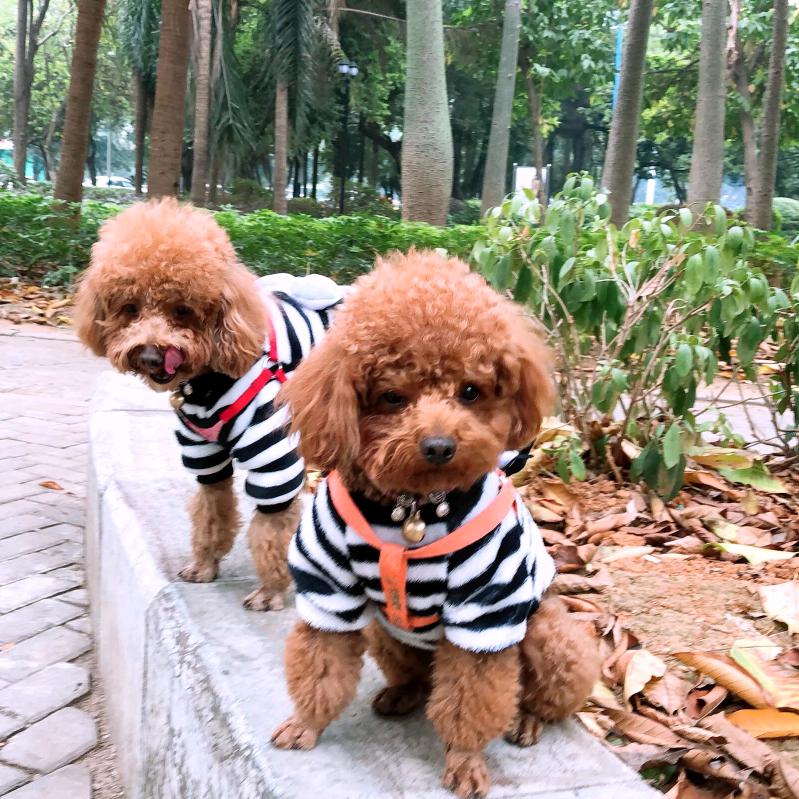 訫想💕事陳🎊