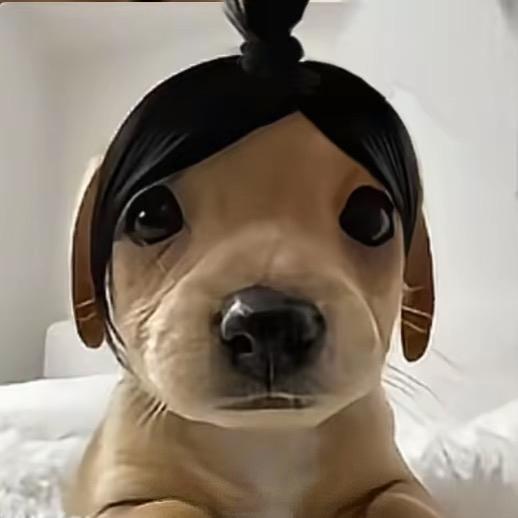 佳三岁
