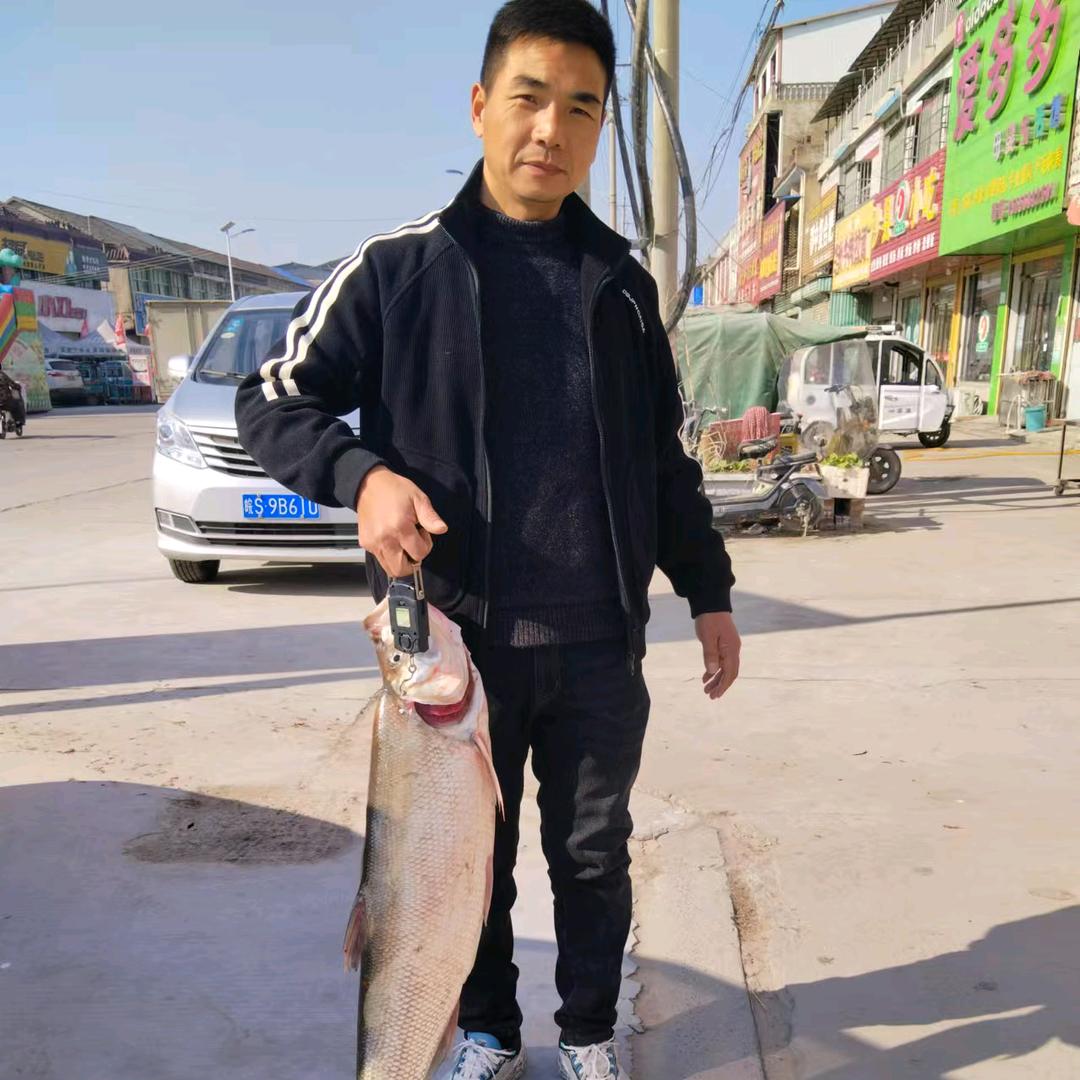 飞行葛
