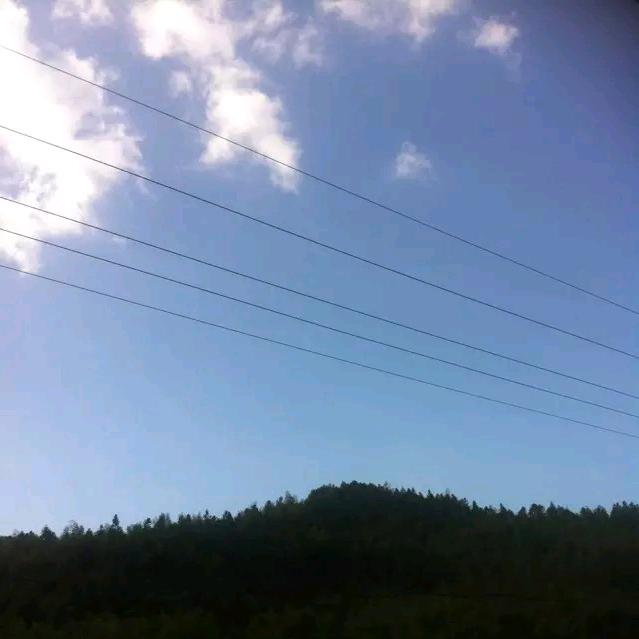 迎风追赶
