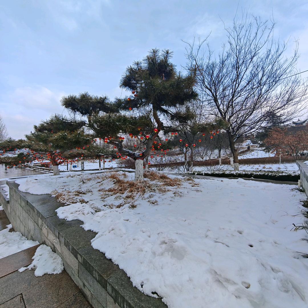 白天不懂~夜的黑