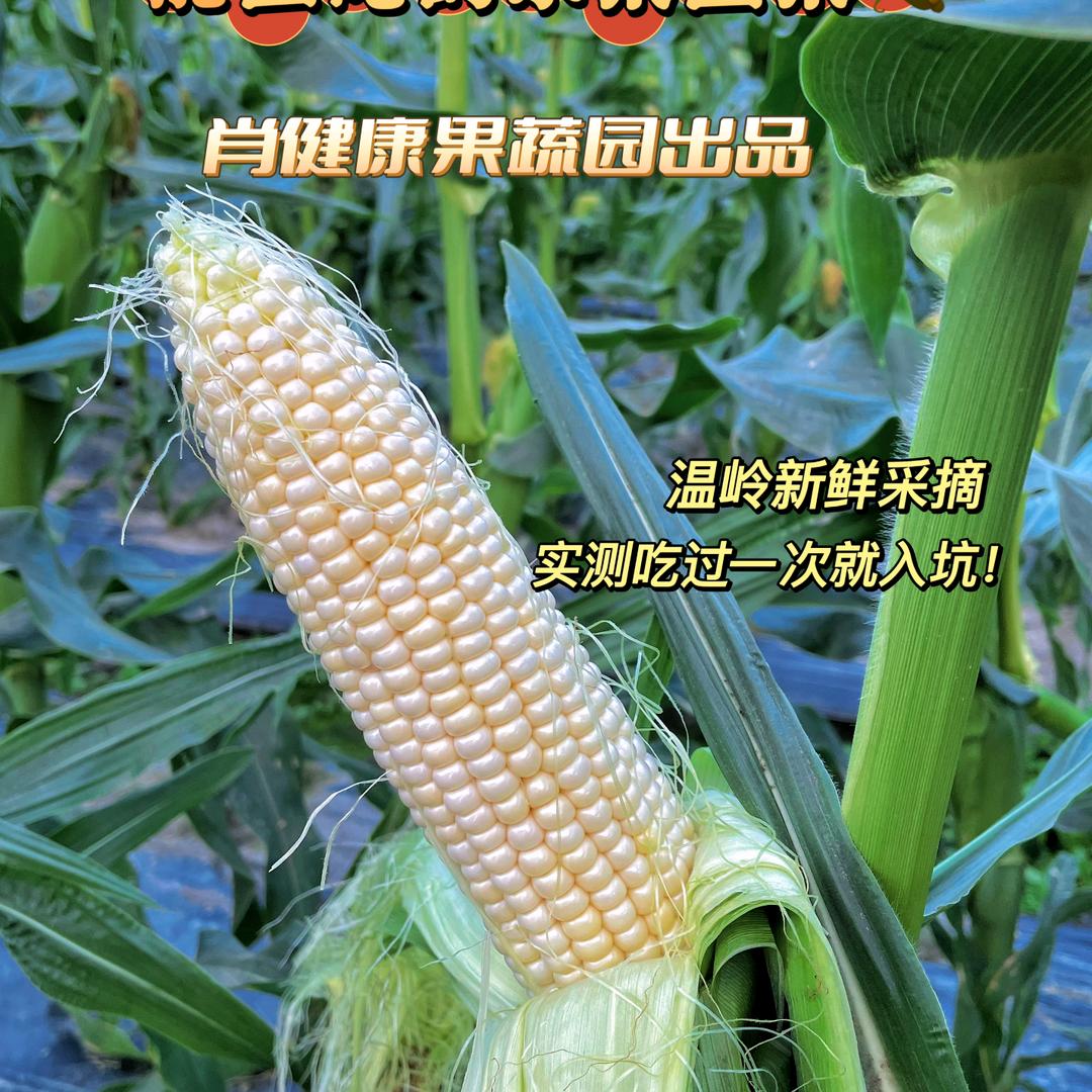 肖健康果蔬园