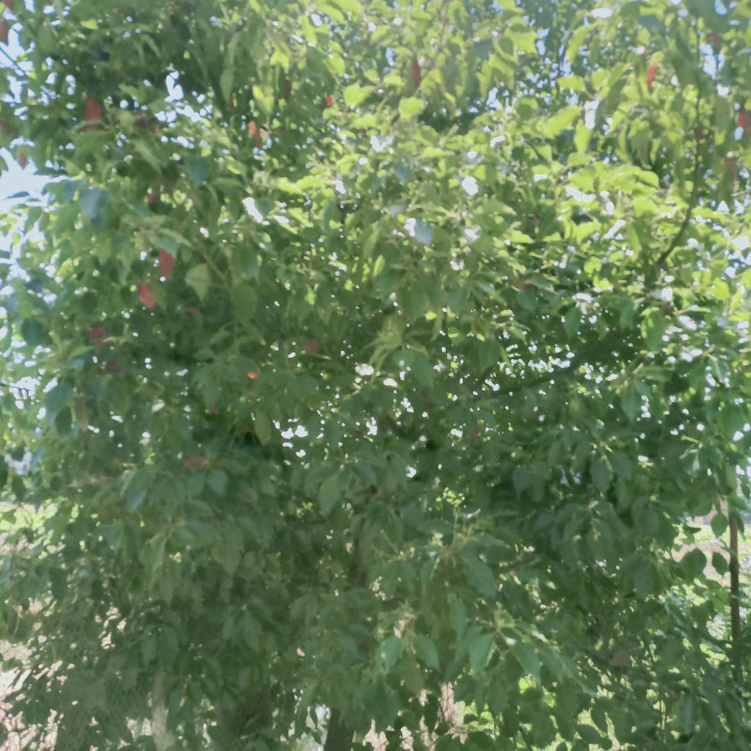 用户2200850924767胡哥