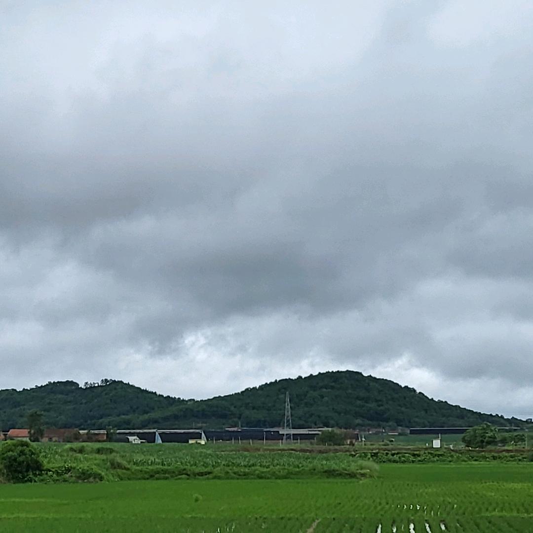 俺不是影帝