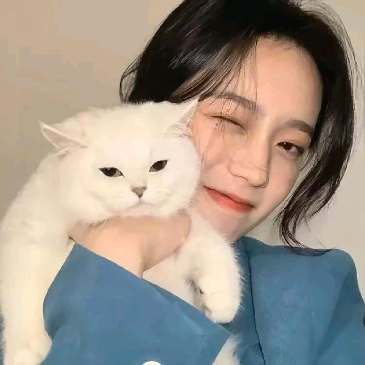 明星影视💗💗