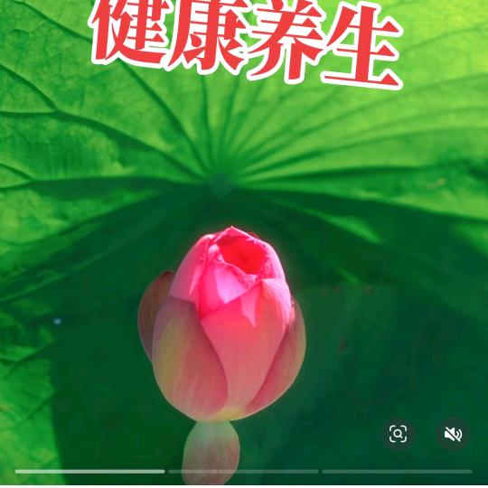 馋嘴猫。
