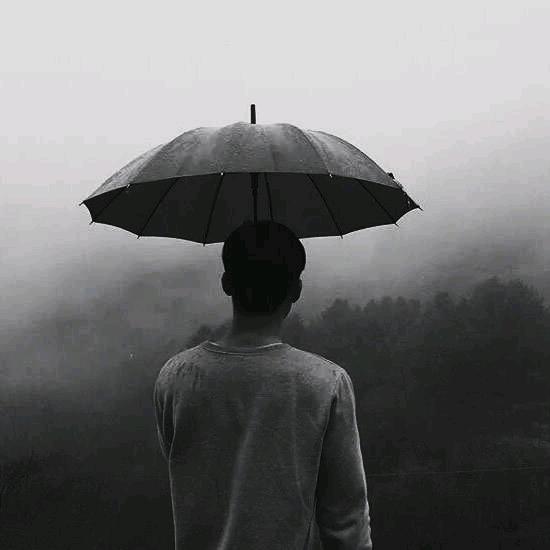四哥-训练指导