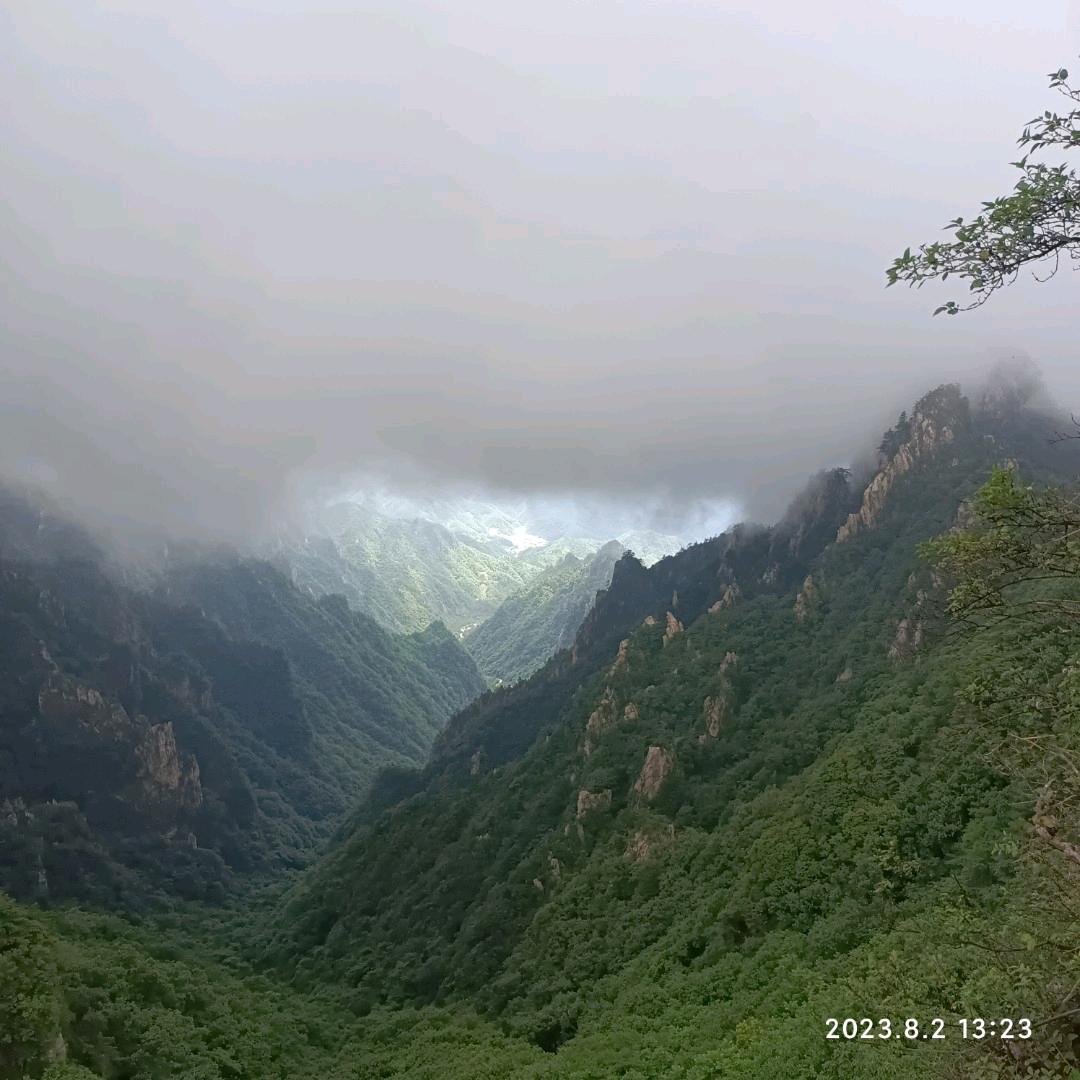 章小鱼娘精品童装