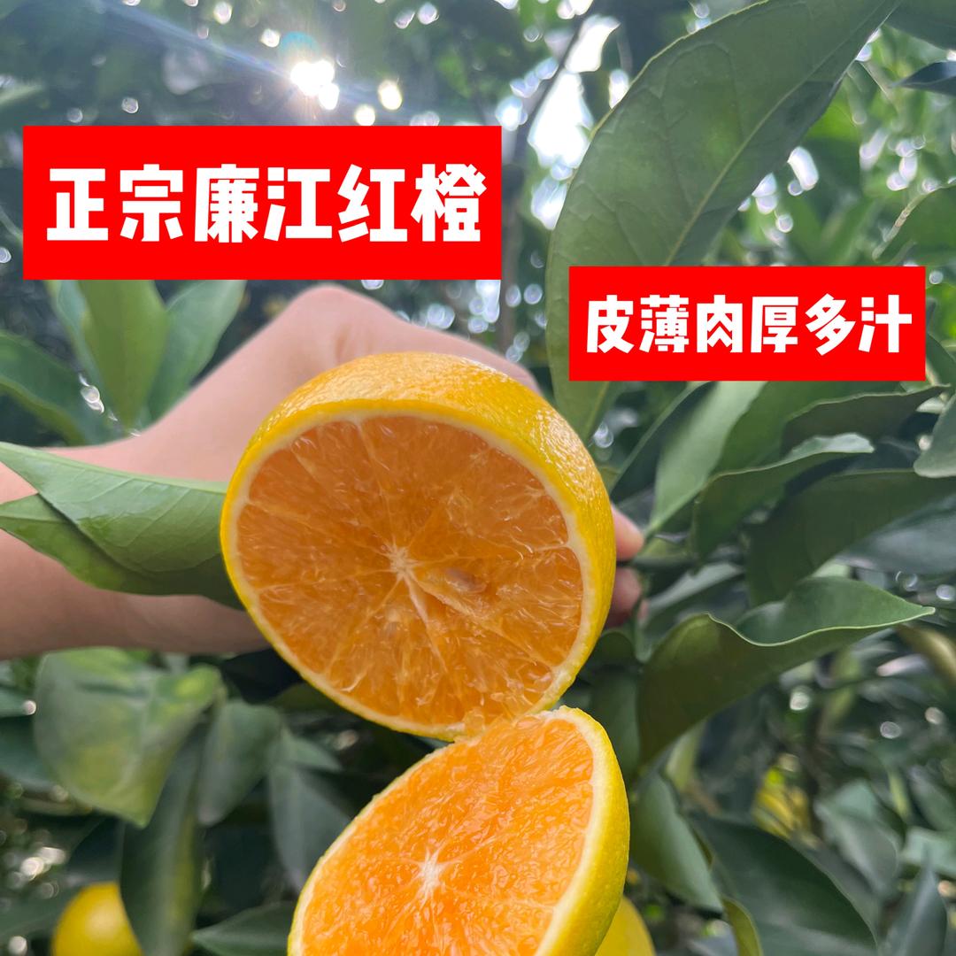 谭家果园优选