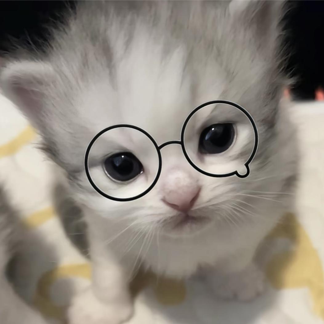 让我们加入猫猫教