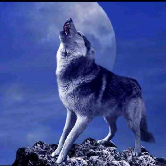 ꧔ꦿ᭄微🎋醺🍃᭄