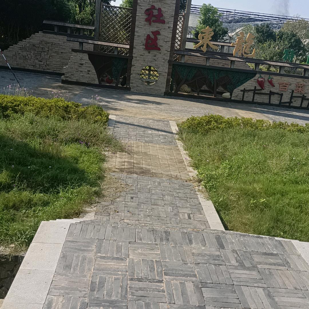 真城