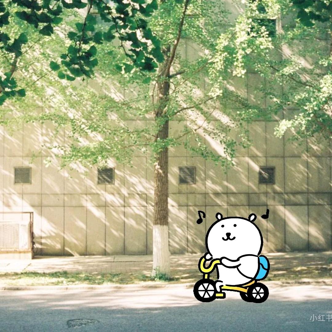 🌸🍐🍏(公主版)