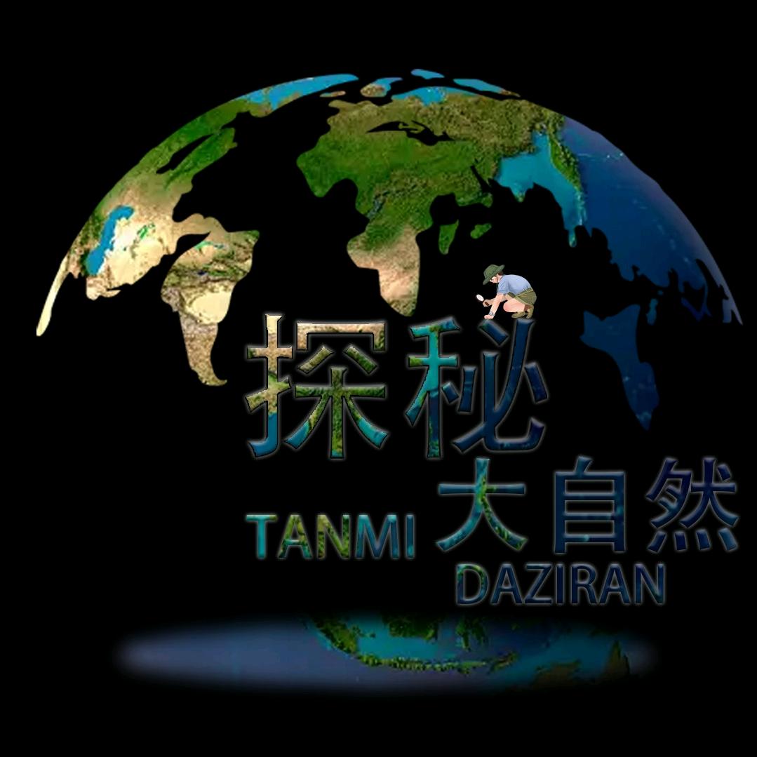探秘-大自然