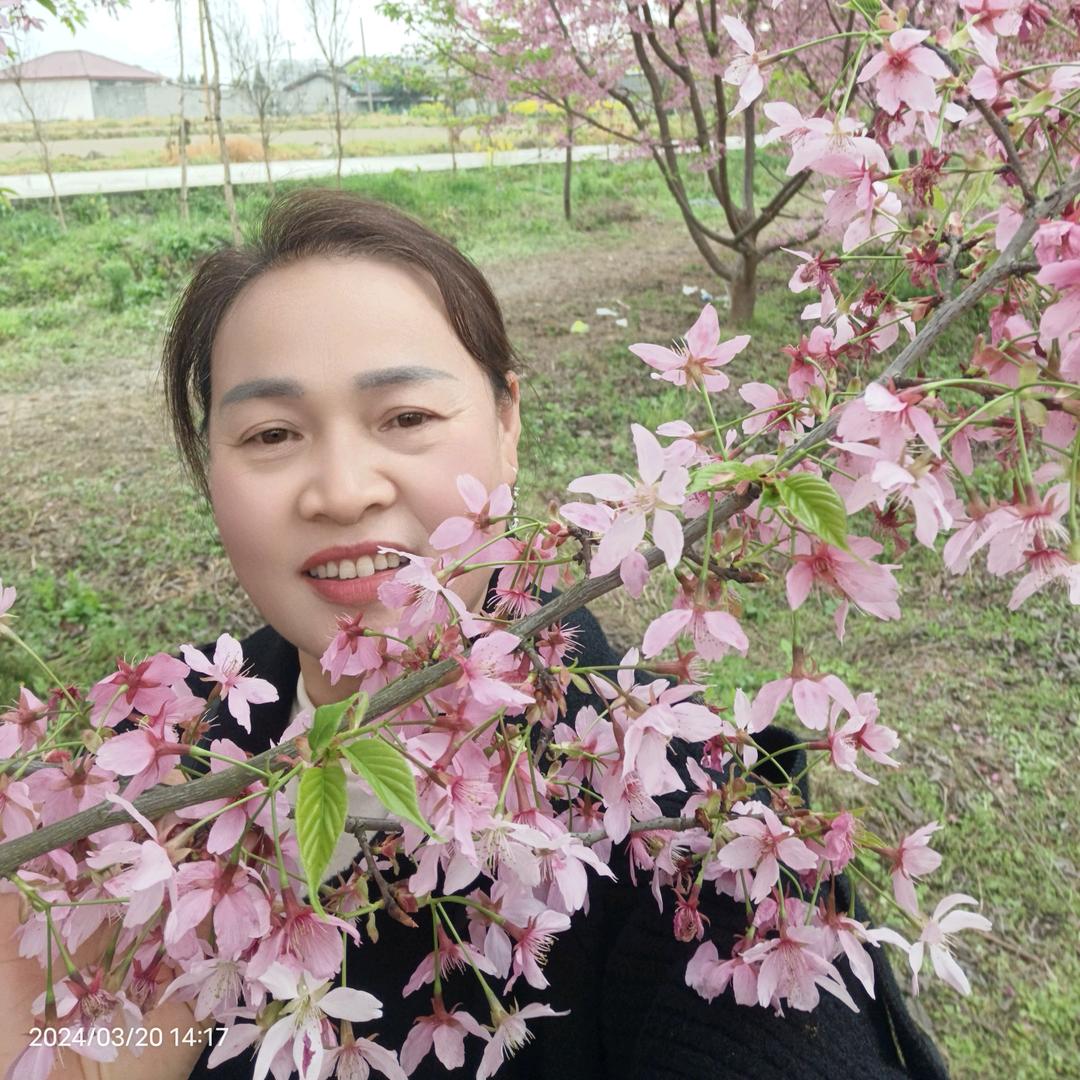 四川妹子玉兔