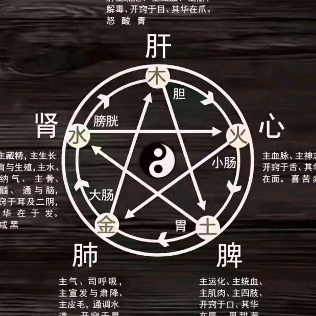 万物阴阳皆于本