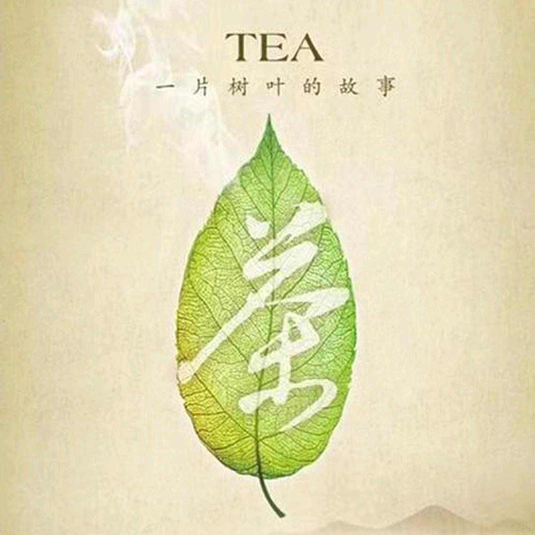 岂有此李先生