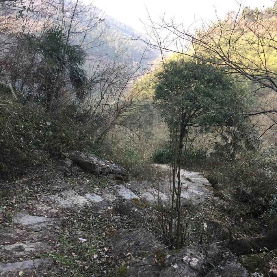大自然