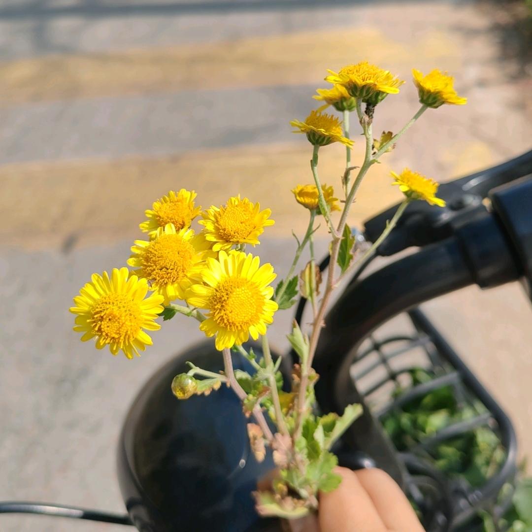 我在路灯下等你