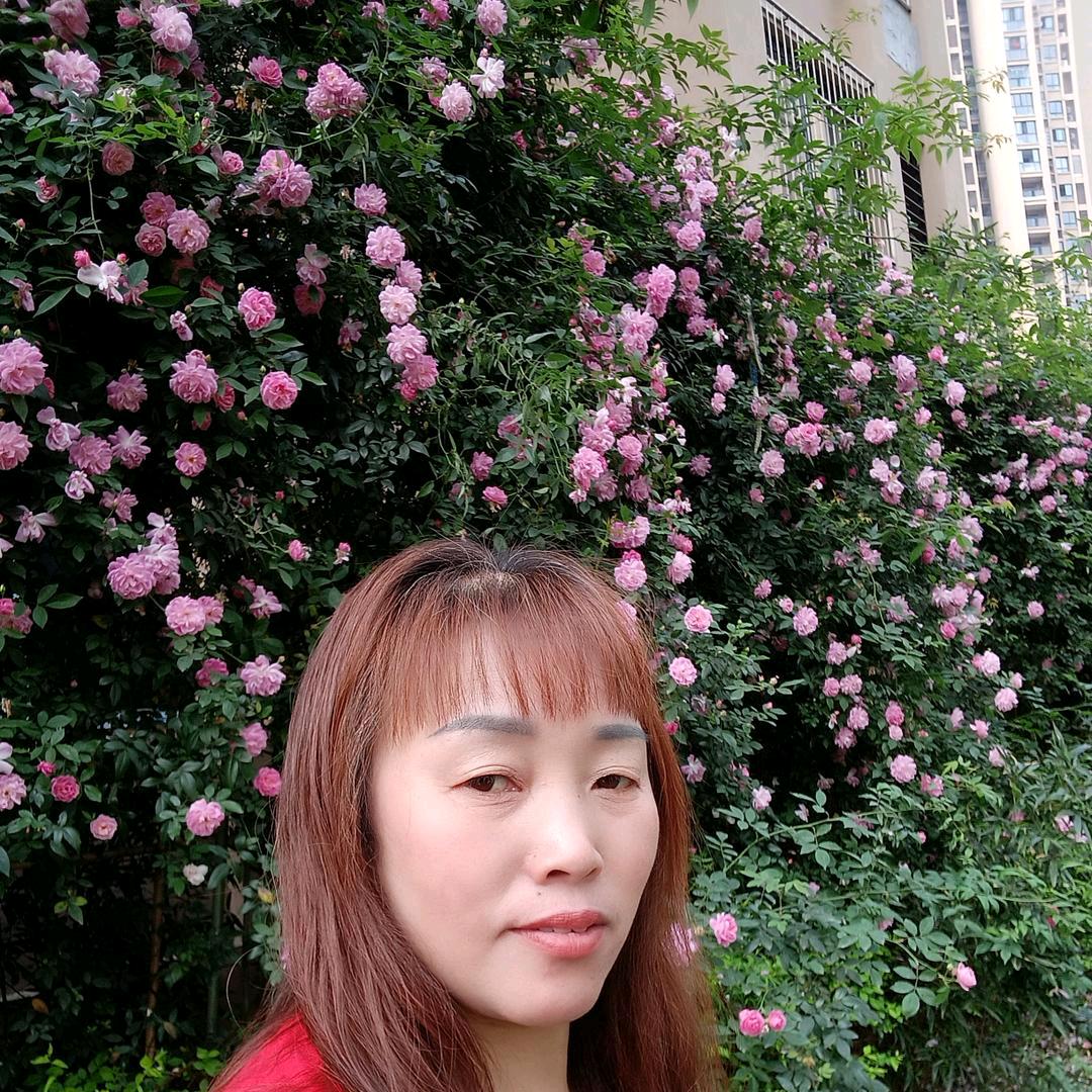 何姐
