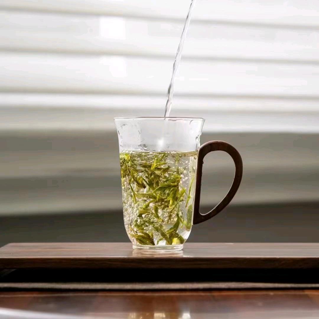 茶缘知己