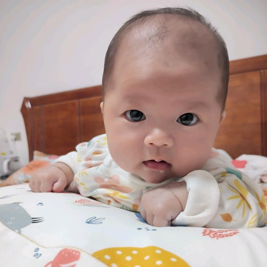 秃头小老太