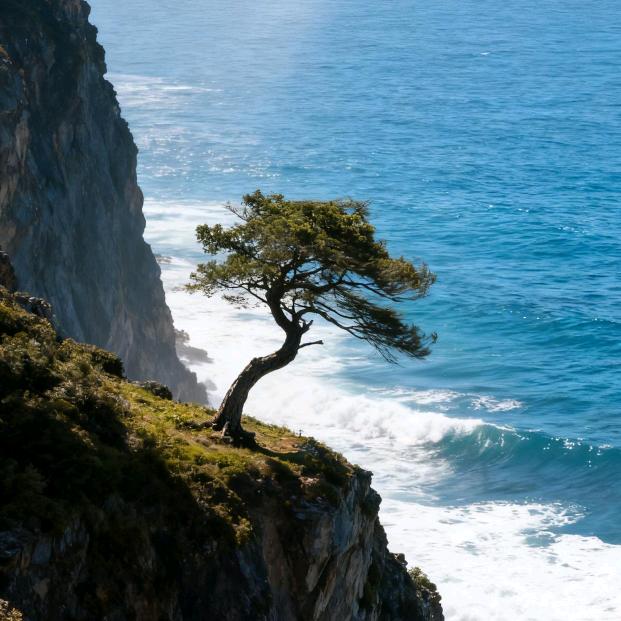 心沉大海🌊