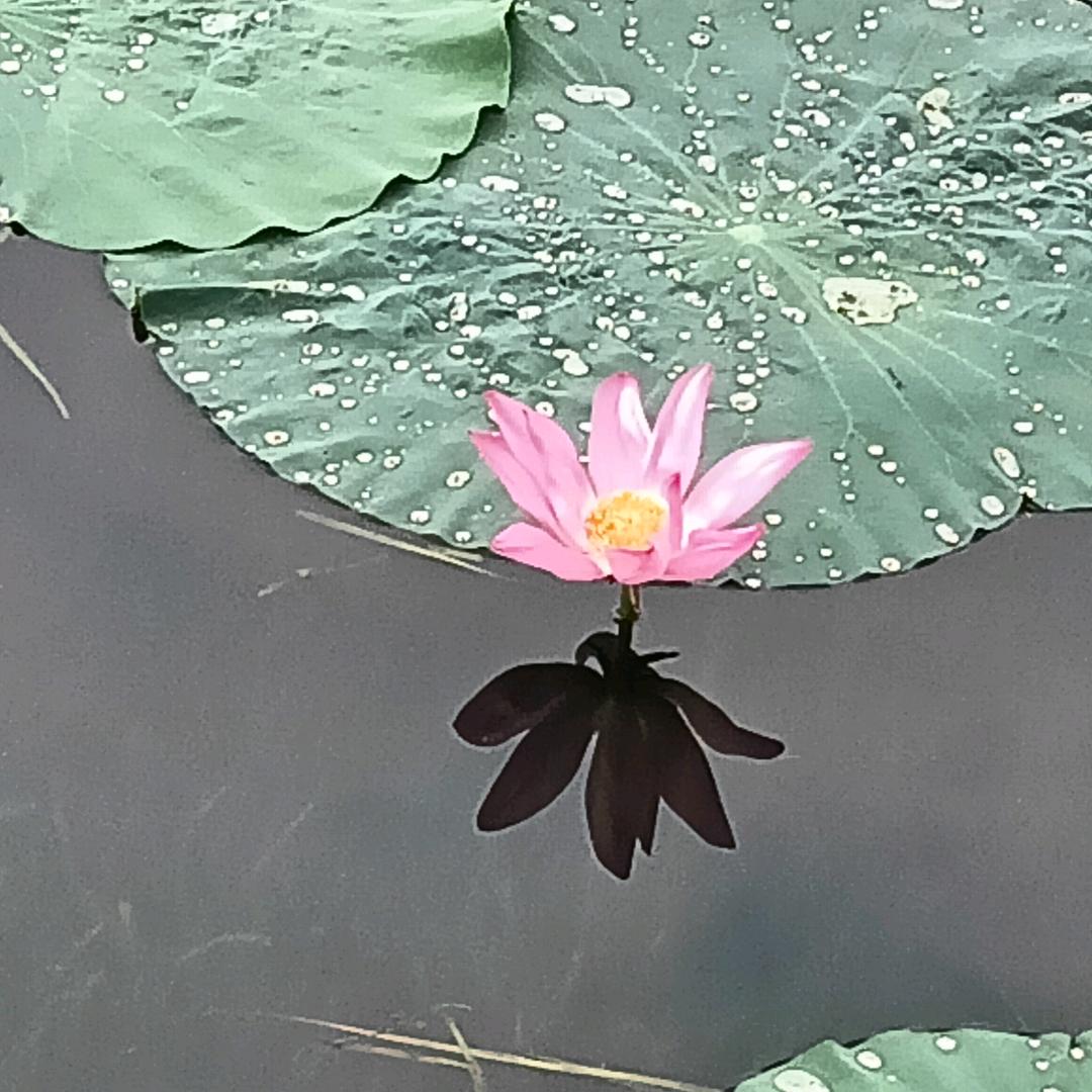 鑫水