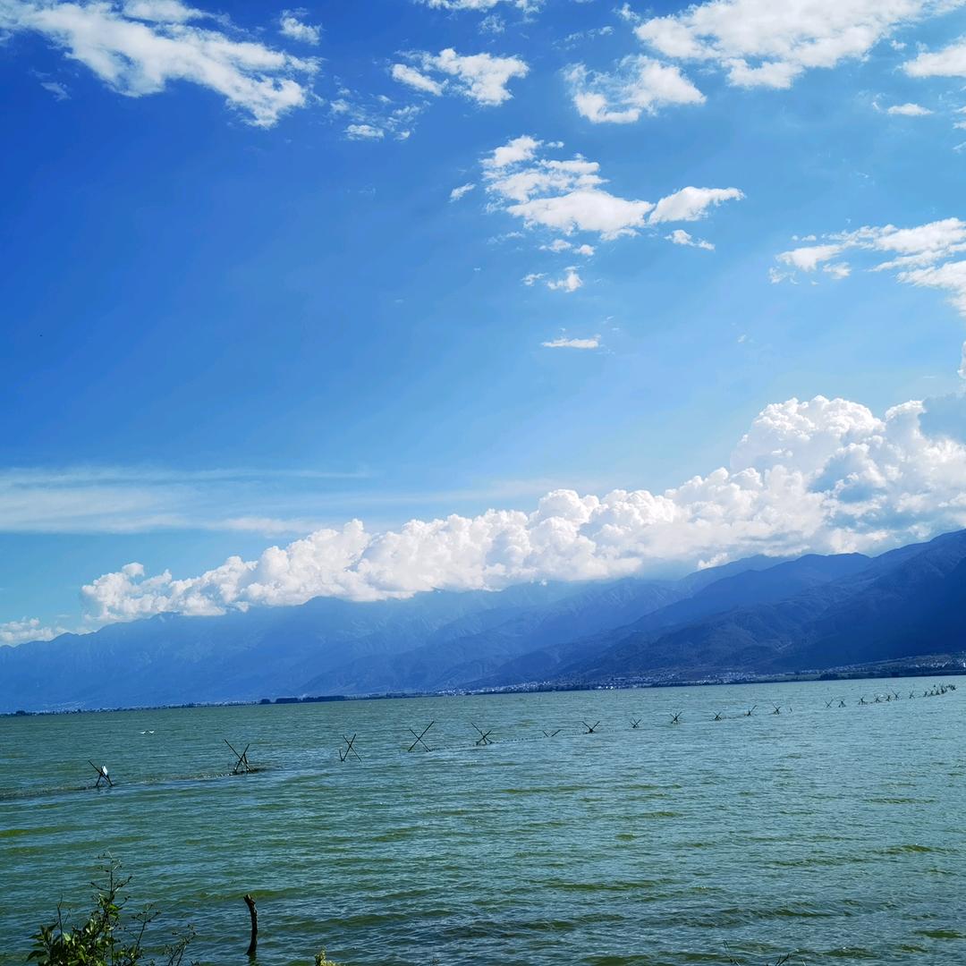 奇妙仙子小叮当