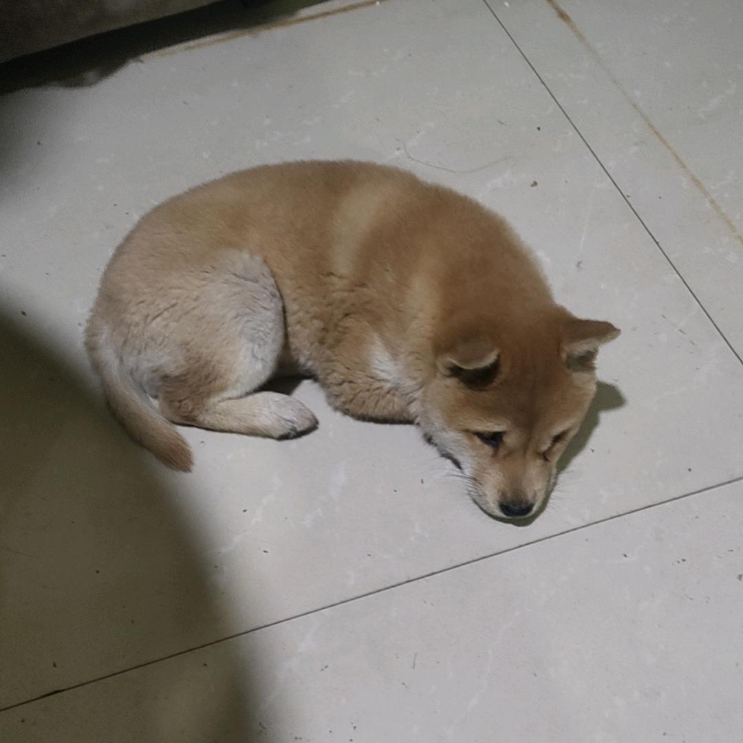 吉昌双龙酒坊