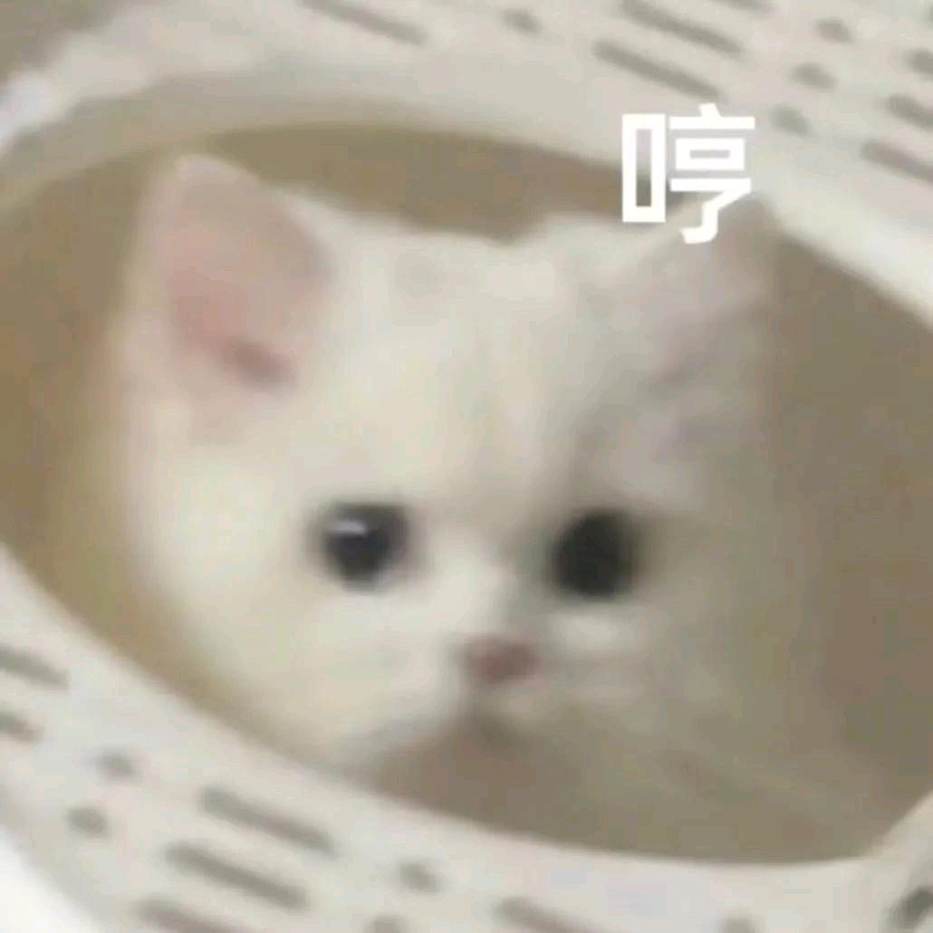椰奶西米露º♬