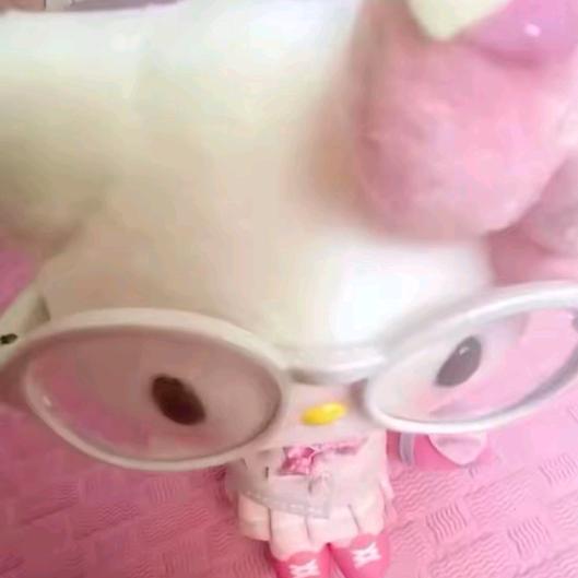 养只小猫