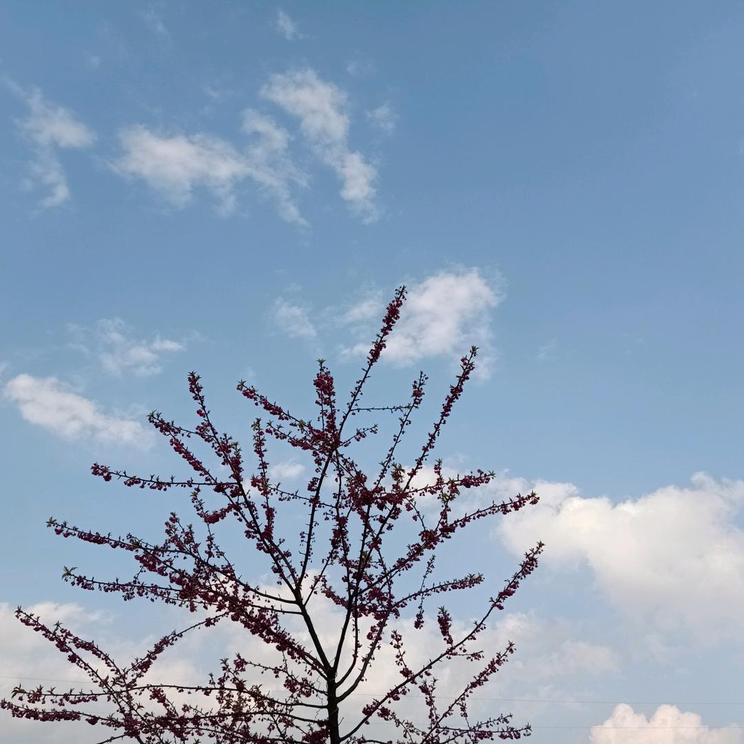 往后余生好好爱自己。