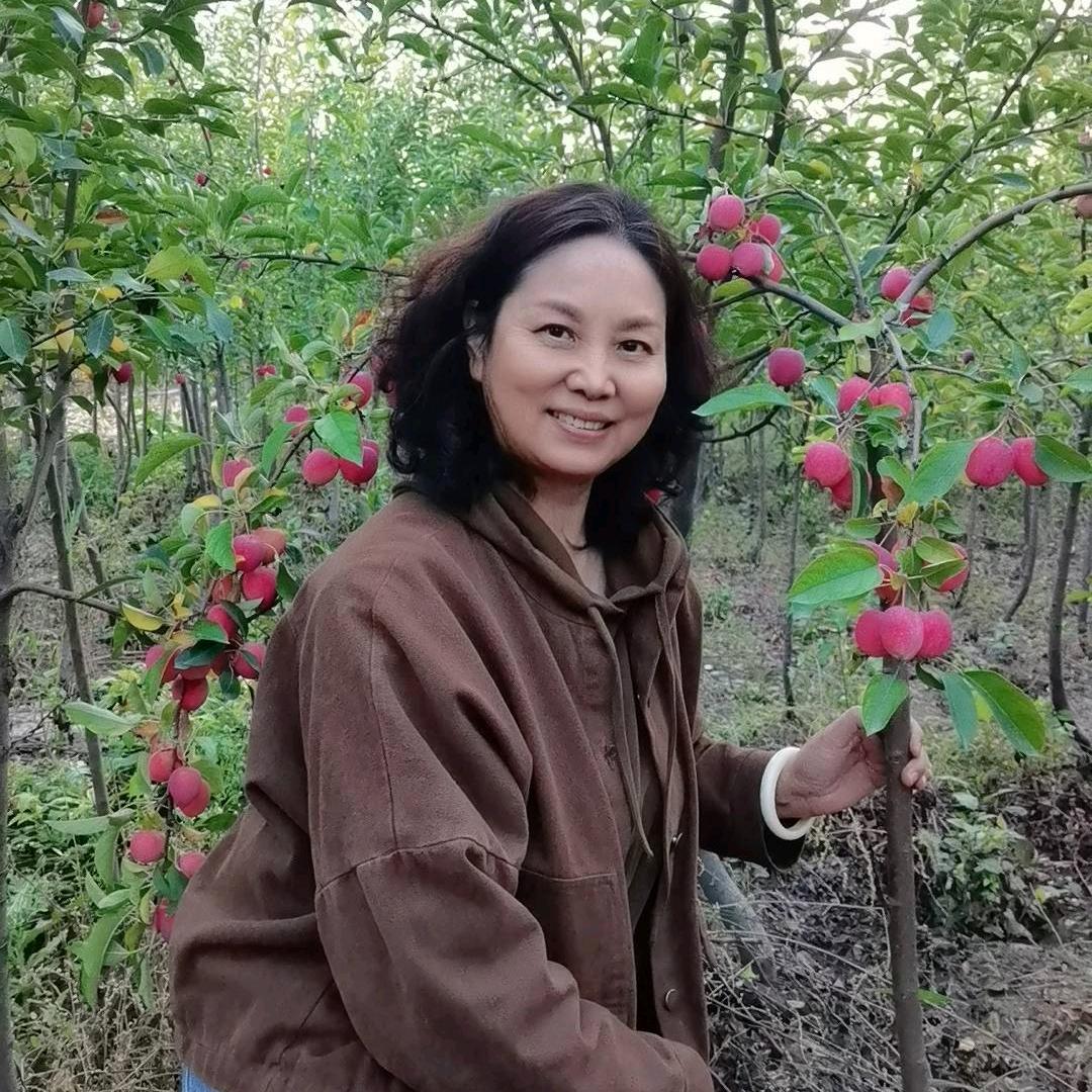 竹子，来自世界的心意