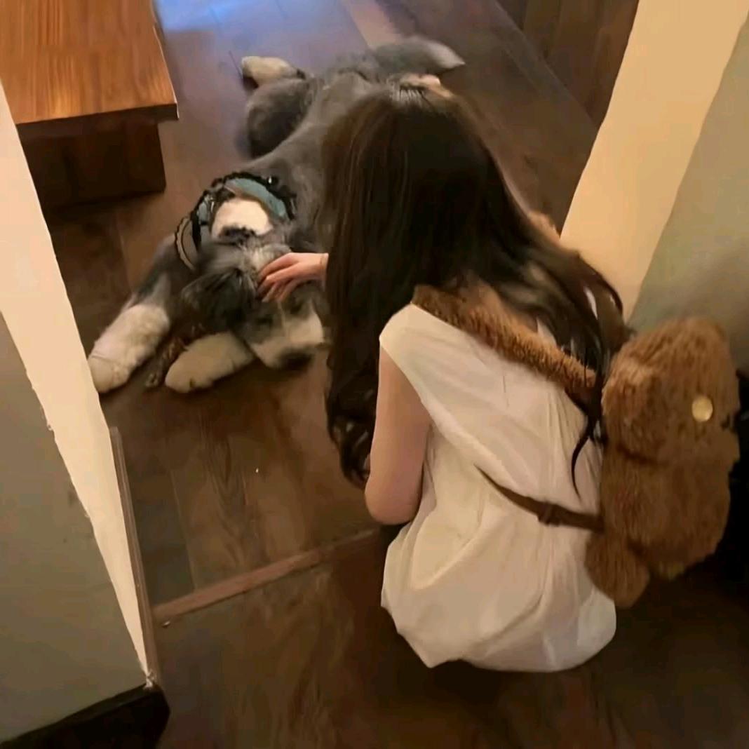 少了个慧