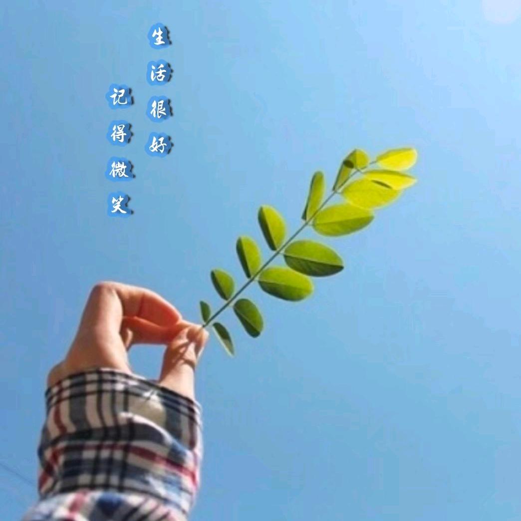 芳