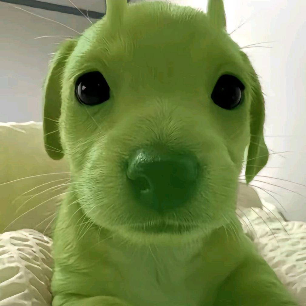 补药叫我小结巴