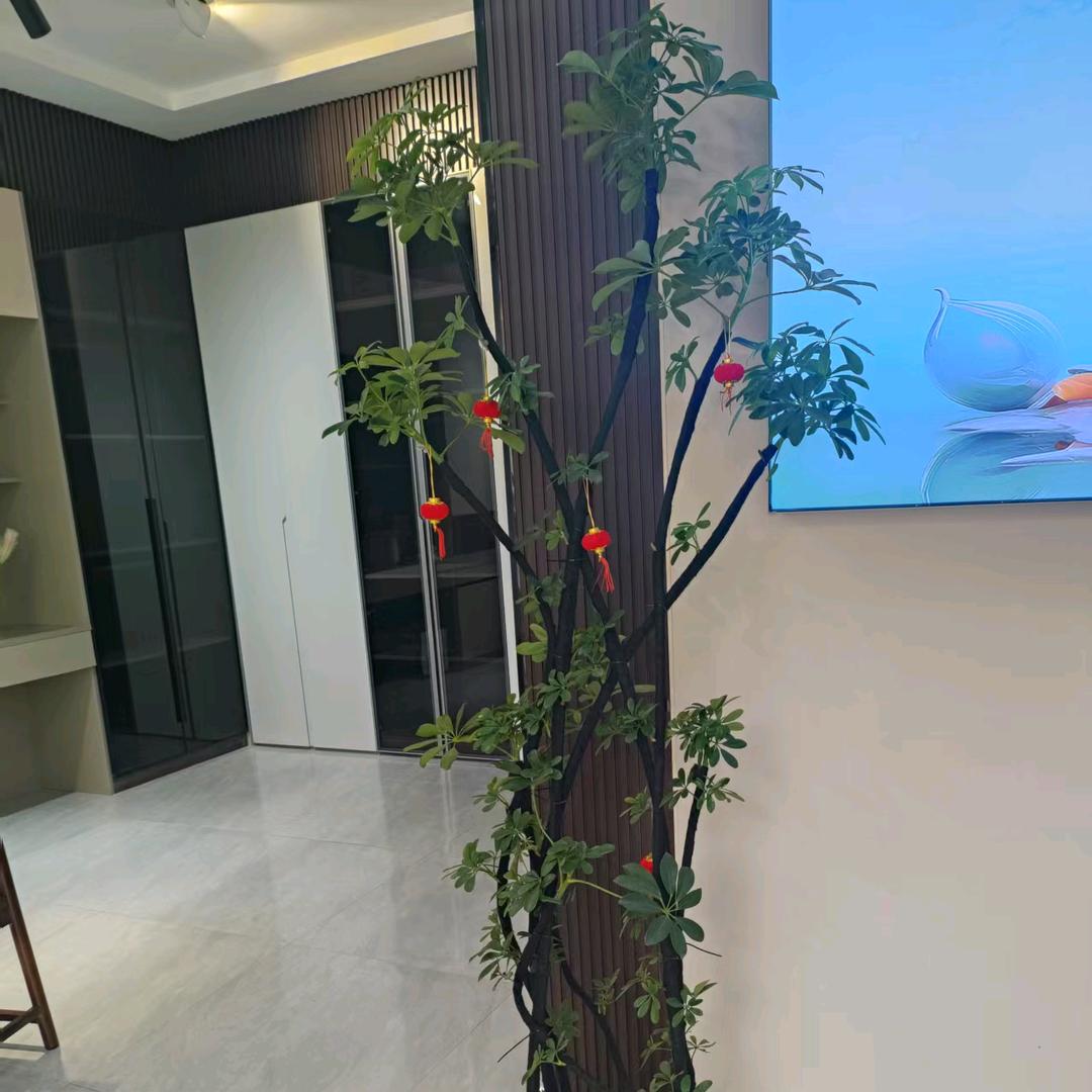 范儿《情定终身》