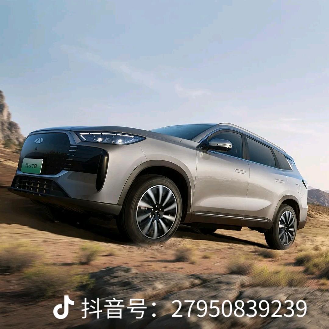 合肥迪凯奇瑞风云主播音音