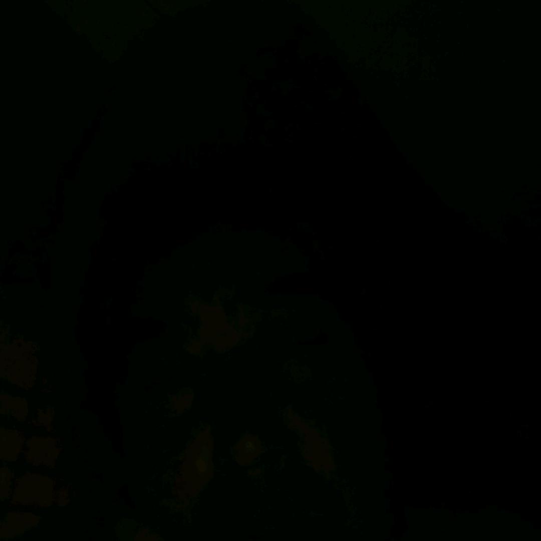 55562494129乐赵立强