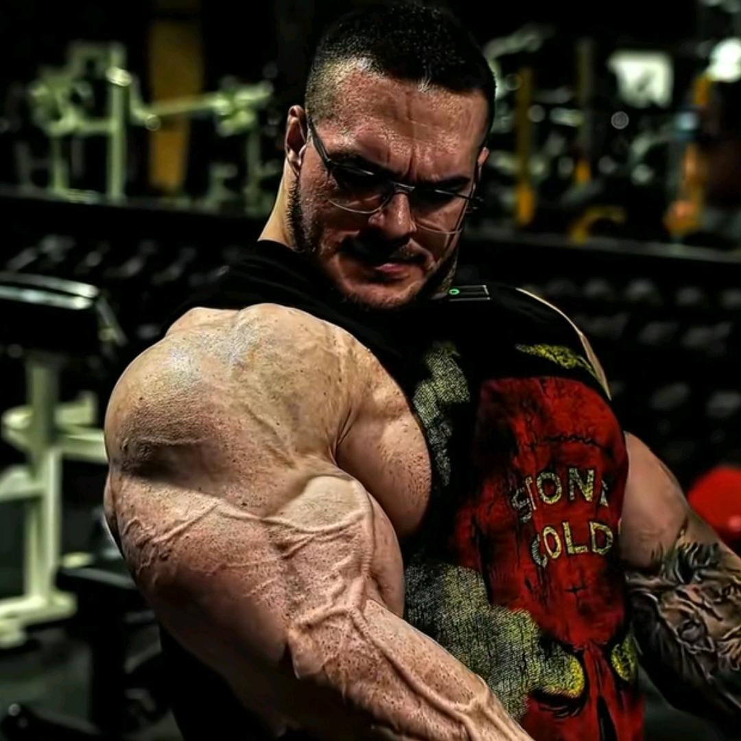 史蒂芬    韦👻